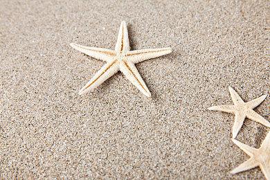 光荣《赛马大亨10》最新预告 3月30日多平台发售